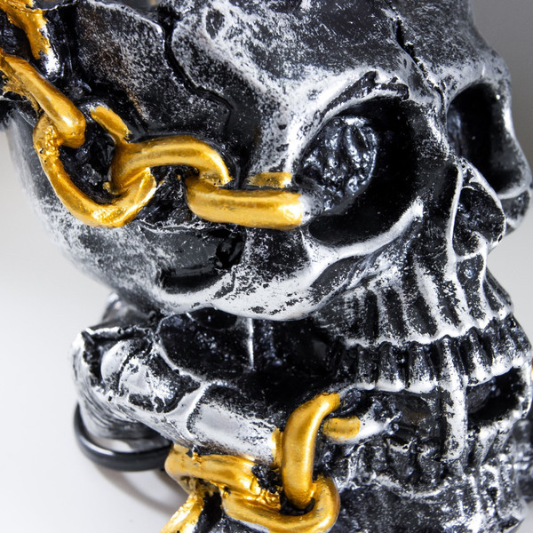 Изображение товара Декоративное освещение Risalux Плазменный шар Череп с цепью 1379705