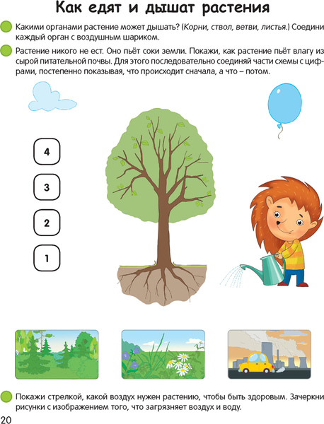 Изображение товара Развивающая книга Аверсэв Умней-ка. 5-6 лет. Экологическая мозаика. 2024, мягкая обложка (Петрикевич Анда)