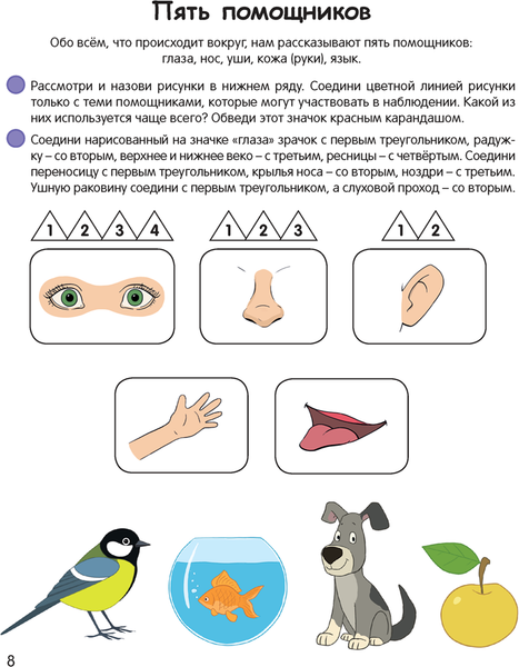 Изображение товара Развивающая книга Аверсэв Умней-ка. 5-6 лет. Экологическая мозаика. 2024, мягкая обложка (Петрикевич Анда)