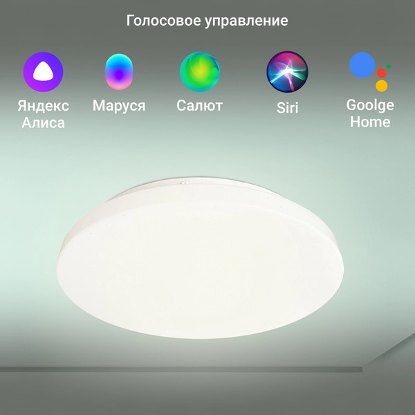 Изображение товара Потолочный светильник Digma TopLight TL25 (белый)