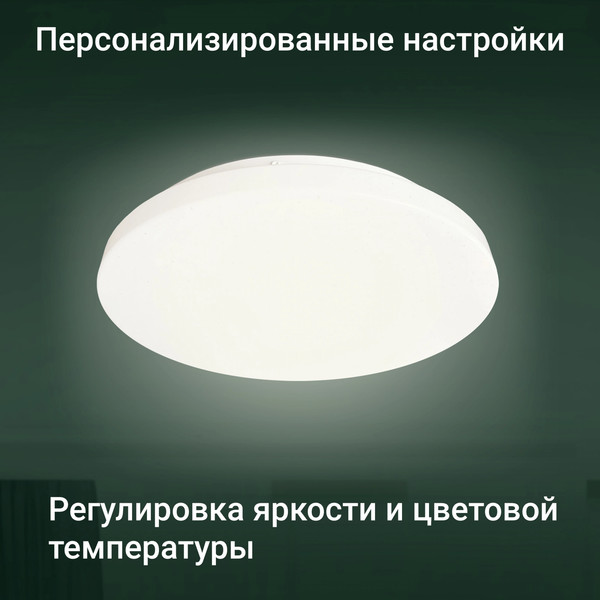 Изображение товара Потолочный светильник Digma TopLight TL25 (белый)
