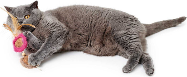 Изображение товара Игрушка для кошек HUNTER Toy Cat Moa Doubleball / 67737