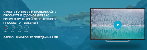 Изображение товара Телевизор POLAR 43" P43L21T2SC