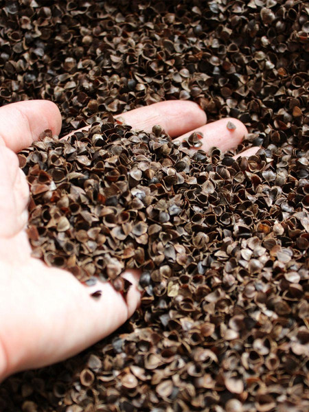 Изображение товара Подушка декоративная MATEX Валик.Ecology Velours / 56-669 (черный)