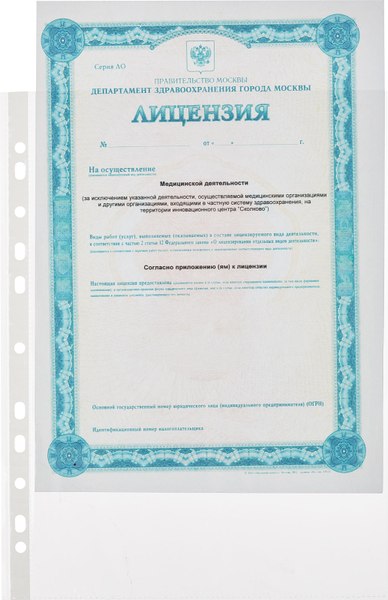 Изображение товара Набор файлов Attache Economy А4 / 1783236 (100шт)