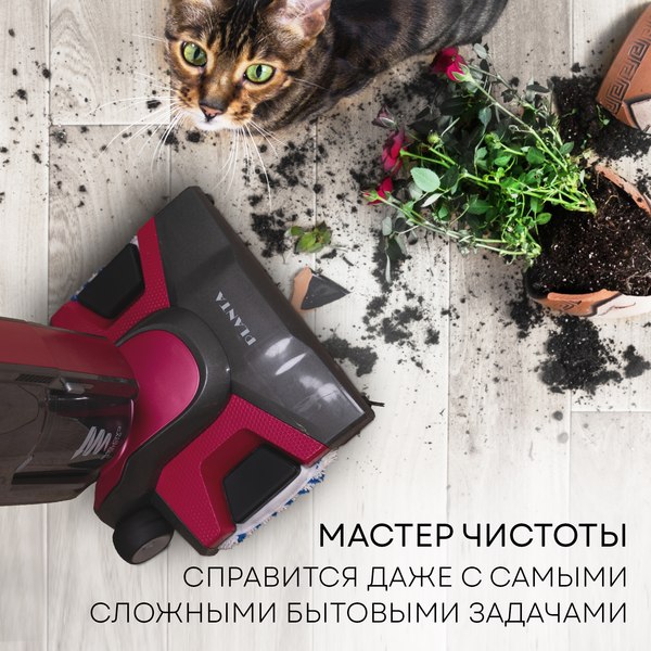 Изображение товара Вертикальный пылесос PLANTA PL-SC301