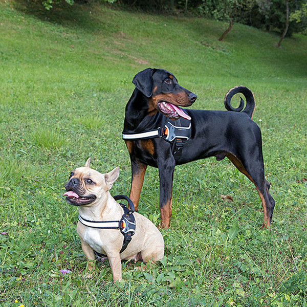 Изображение товара Шлея Ferplast Hercules P / 75468552 (XXL, красный)