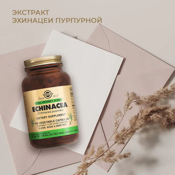 Изображение товара Пищевая добавка Solgar Экстракт эхинацеи пурпурной (100 капсул)
