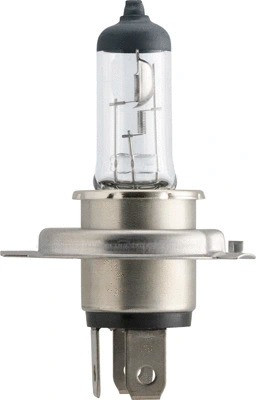 Изображение товара Автомобильная лампа Philips 13342MLC1