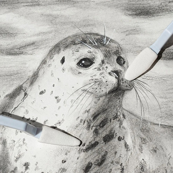 Изображение товара Набор губок для рисования Малевичъ 195282 (12шт)