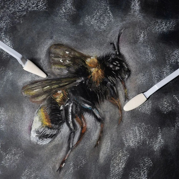 Изображение товара Набор губок для рисования Малевичъ 195282 (12шт)