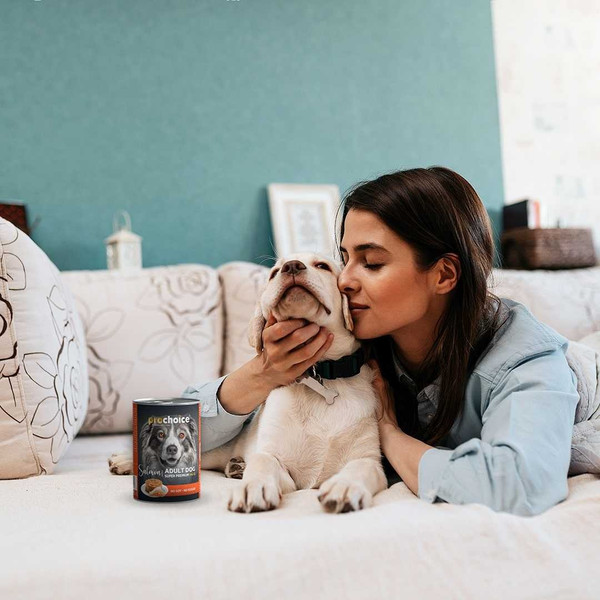 Изображение товара Влажный корм для собак Prochoice Паштет с лососем и рисом (400г)