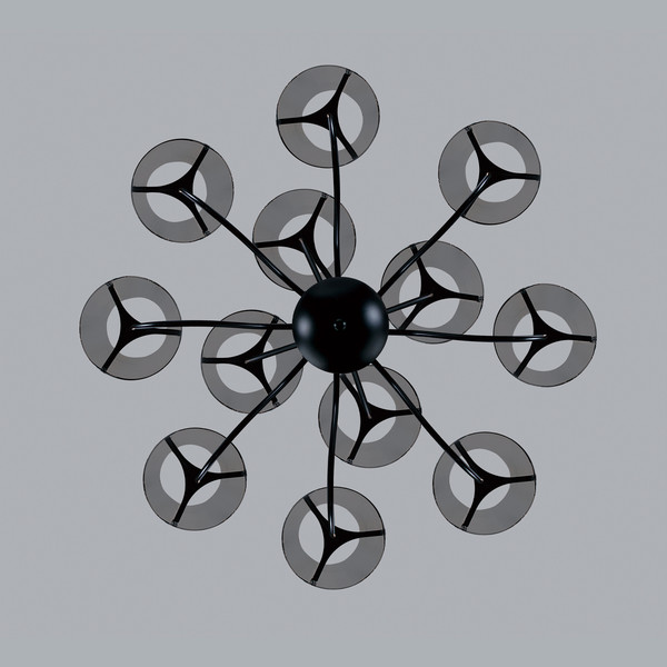 Изображение товара Люстра Lumion Smoky 6570/12C