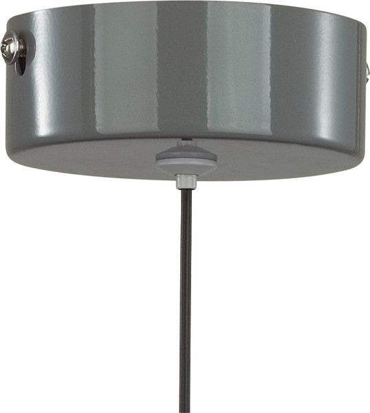 Изображение товара Потолочный светильник Lumion Globe 6569/6L