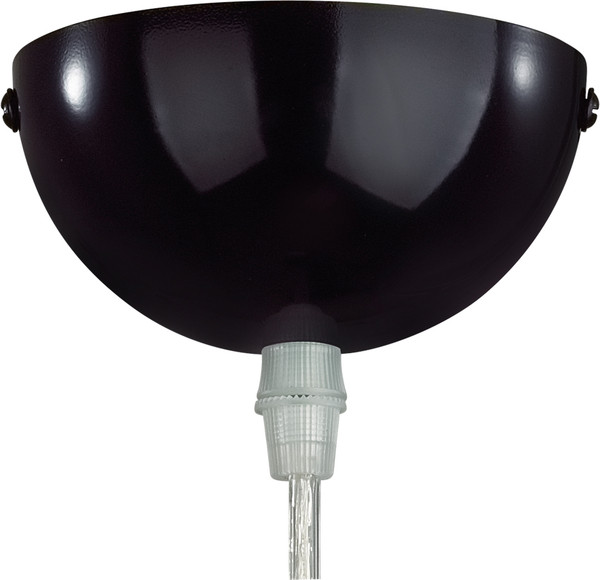 Изображение товара Потолочный светильник Lumion Blasen 6566/1A