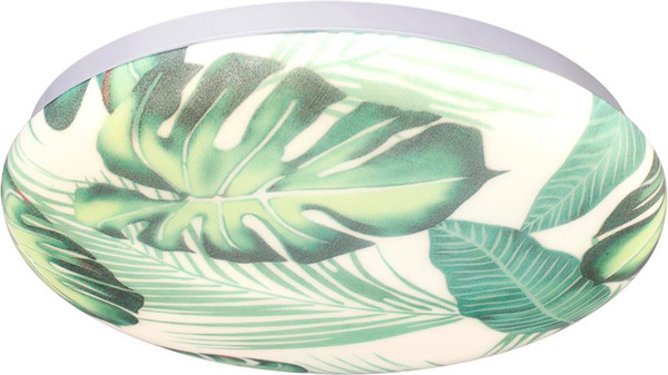 Изображение товара Потолочный светильник Sonex Flori 7748/CL