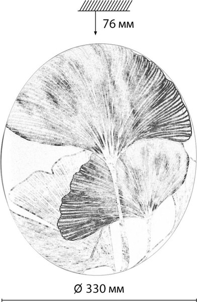 Изображение товара Потолочный светильник Sonex Floren 7747/CL