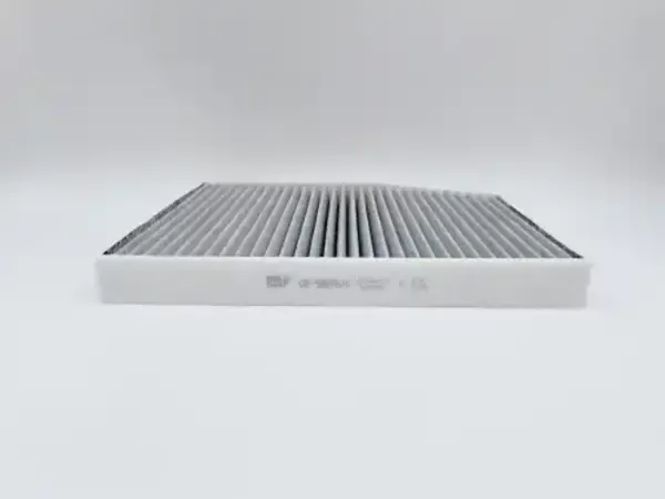 Изображение товара Салонный фильтр BIG Filter GB-98076/C