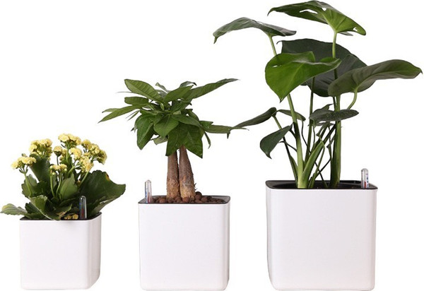 Изображение товара Кашпо BOTANICA Quadro автополив с индикатором (17.2x16.2см, белый)