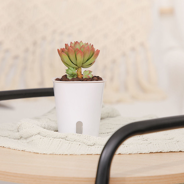 Изображение товара Кашпо BOTANICA Aqua с автополивом (12.5x15см, белый)