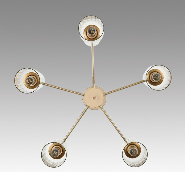 Изображение товара Люстра Lumion Kassia 6586/10