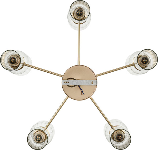 Изображение товара Люстра Lumion Kassia 6586/10