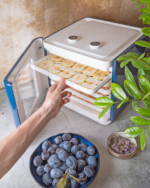 Изображение товара Сушилка для овощей и фруктов StarWind SFD6431 (синий)