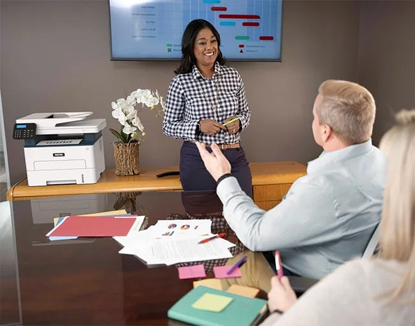 Изображение товара МФУ Xerox WorkCentre B225DNI (B225V_DNI)