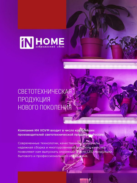 Изображение товара Стойка для светильника INhome ПМ-Т5 СПБ-Т5-Фито / 4690612055794