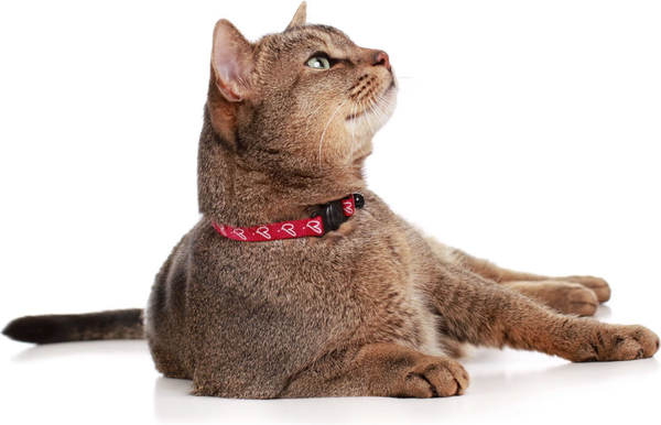 Изображение товара Ошейник HUNTER Collar Cat by Laura / 65946 (красный)