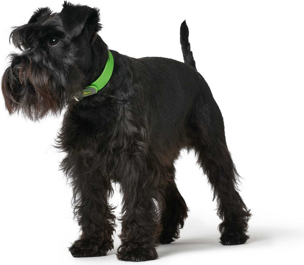 Изображение товара Ошейник HUNTER Collar Convenience 68925 (65/L-XL, зеленое яблоко)