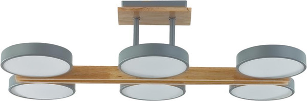 Изображение товара Потолочный светильник Lumion Plato 8031/108CL