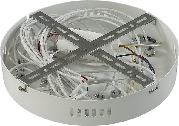 Изображение товара Потолочный светильник Lumion Alberta 8029/80CL