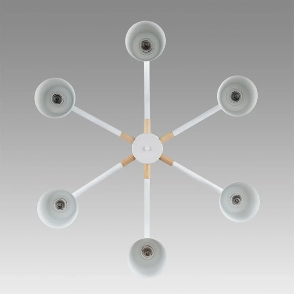 Изображение товара Люстра Lumion Rosalina 8097/6C