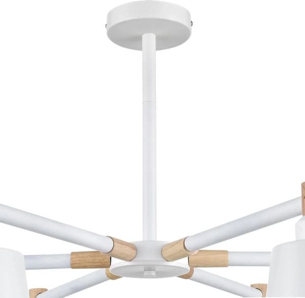 Изображение товара Люстра Lumion Rosalina 8097/6C