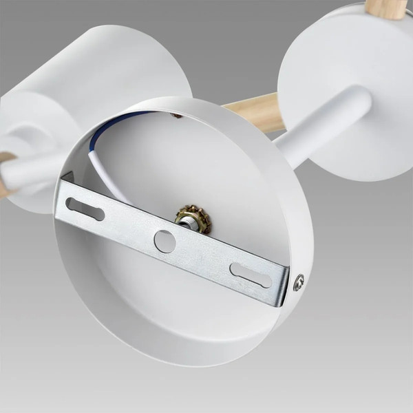 Изображение товара Люстра Lumion Rosalina 8097/6C