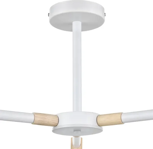 Изображение товара Люстра Lumion Rosalina 8097/3C