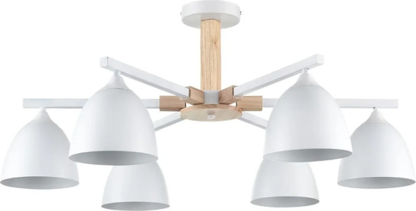 Изображение товара Люстра Lumion Colange 8095/6C