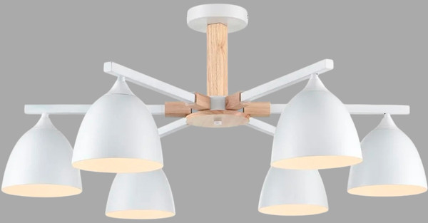 Изображение товара Люстра Lumion Colange 8095/6C
