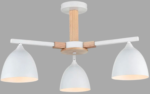 Изображение товара Люстра Lumion Colange 8095/3C