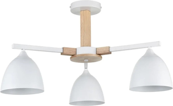 Изображение товара Люстра Lumion Colange 8095/3C