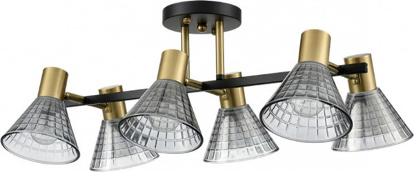 Изображение товара Люстра Lumion Anriya 8044/6C