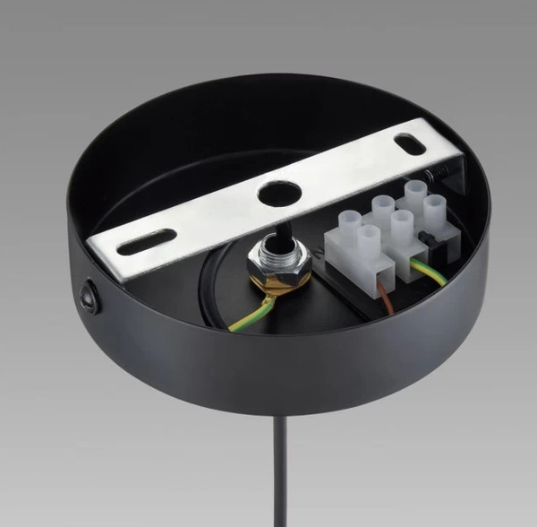 Изображение товара Потолочный светильник Lumion Isha 8101/1A