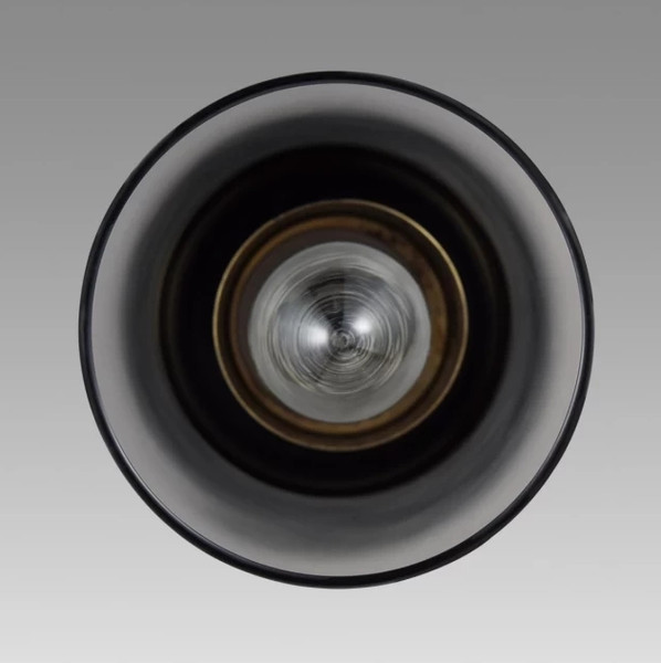 Изображение товара Потолочный светильник Lumion Isha 8101/1A