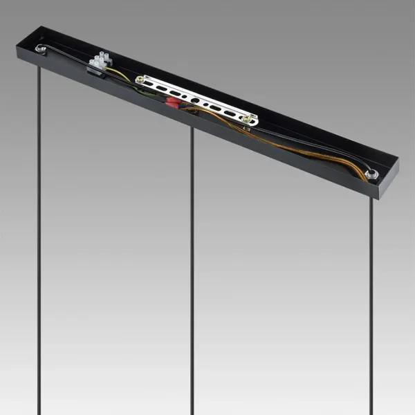 Изображение товара Люстра Lumion Isha 8101/3A