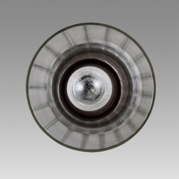 Изображение товара Потолочный светильник Lumion Isha 8102/1A