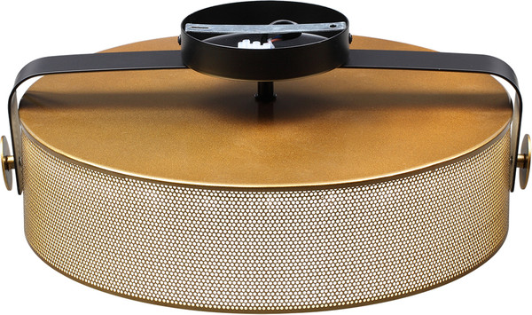 Изображение товара Потолочный светильник Lumion Drumy 6597/40L