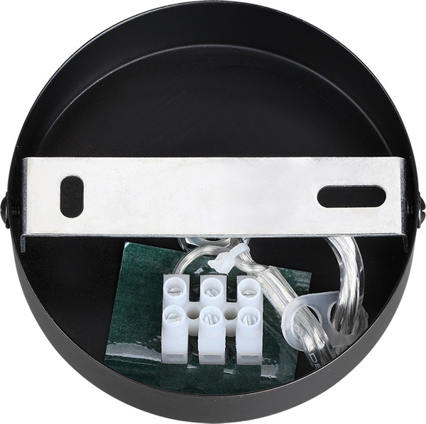 Изображение товара Потолочный светильник Lumion Avrora 8001/1A