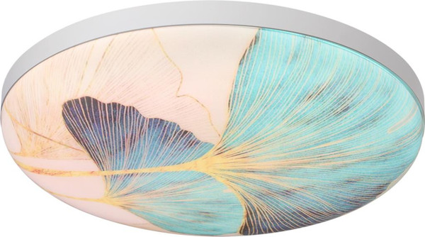 Изображение товара Потолочный светильник Sonex Floren 7747/DL