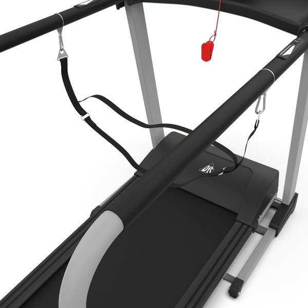 Изображение товара Электрическая беговая дорожка DFC Walker Evo Pro / T-S1 Pro
